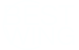 Best Wing Global Market Pty Ltd Logo